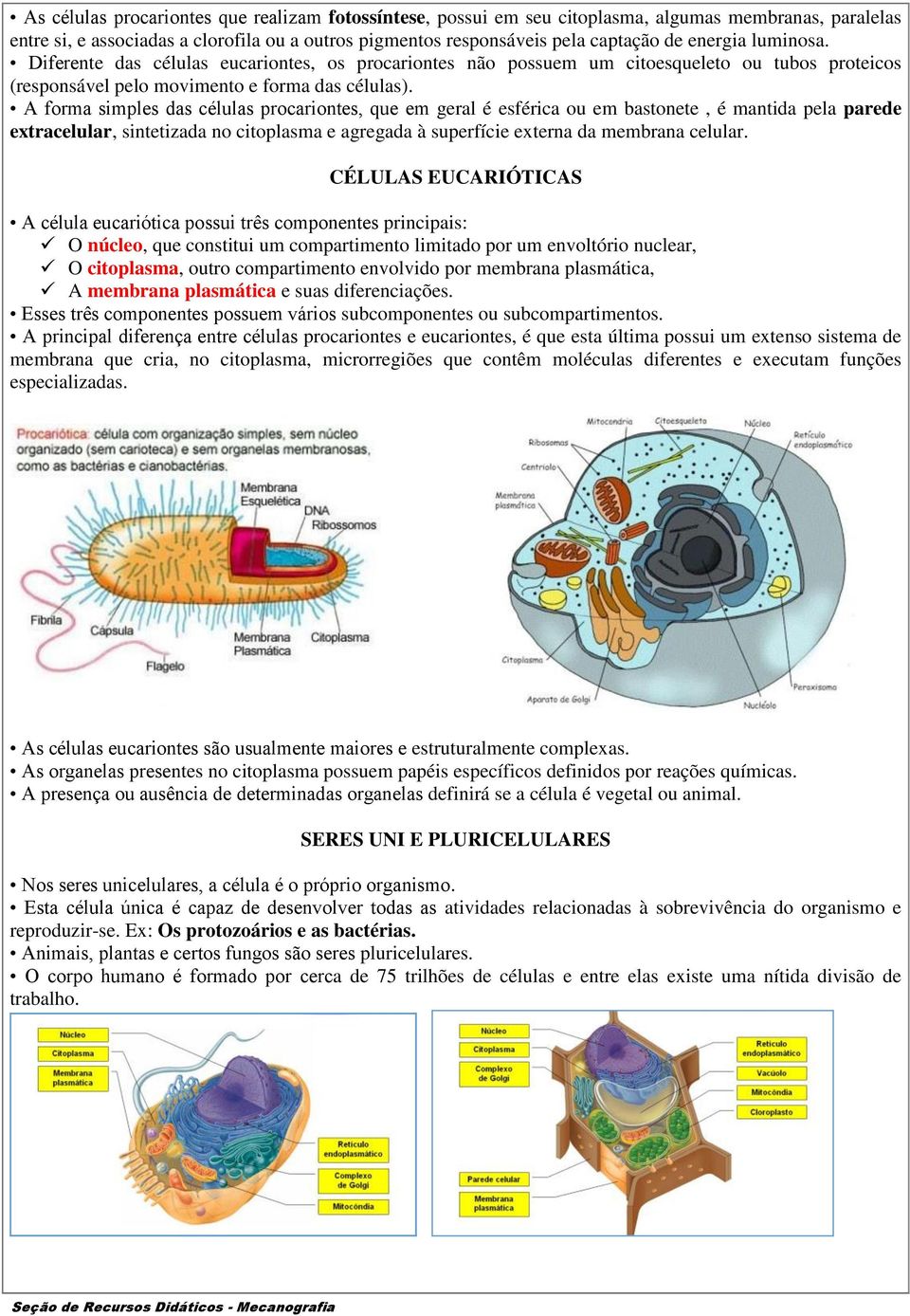 A forma simples das células procariontes, que em geral é esférica ou em bastonete, é mantida pela parede extracelular, sintetizada no citoplasma e agregada à superfície externa da membrana celular.