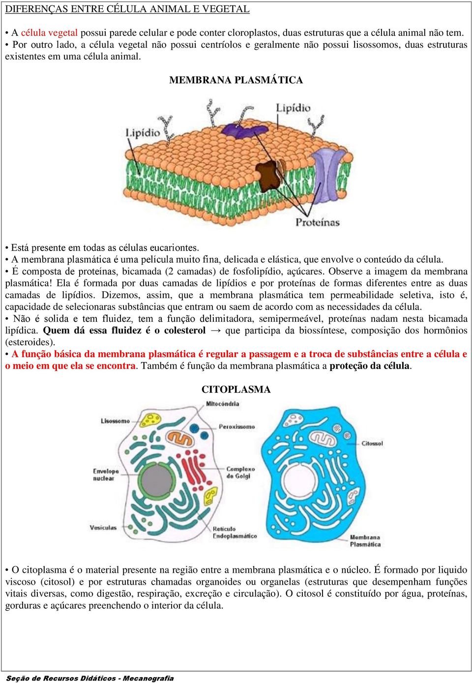 MEMBRANA PLASMÁTICA Está presente em todas as células eucariontes. A membrana plasmática é uma película muito fina, delicada e elástica, que envolve o conteúdo da célula.