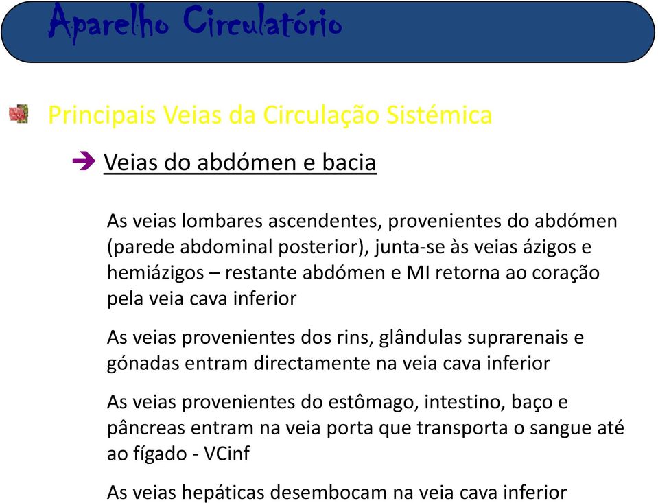 rins, glândulas suprarenais e gónadasentram directamente naveia cava inferior As veias provenientes do estômago, intestino,