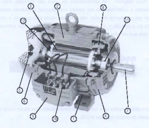 A Figura abaixo mostra uma foto com as partes construtivas de um motor de indução tipo gaiola de esquilo (cortesia WEG).