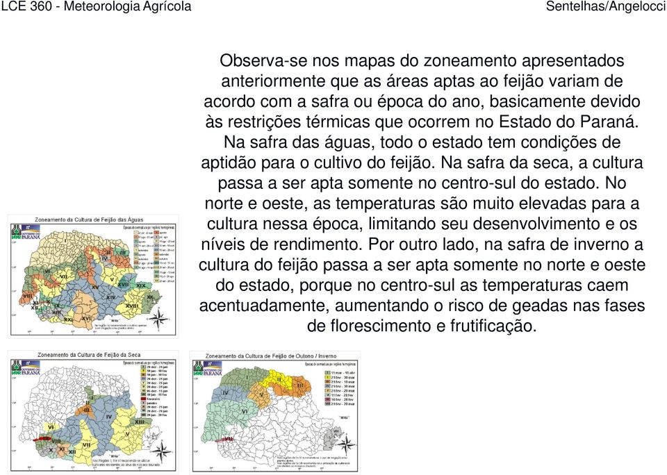 Na safra da seca, a cultura passa a ser apta somente no centro-sul do estado.