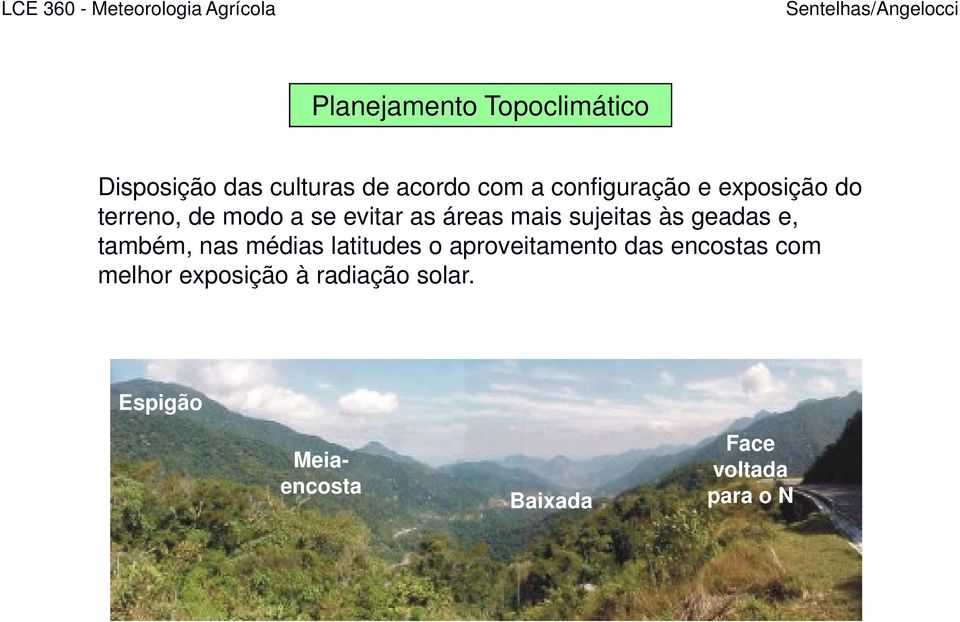 sujeitas às geadas e, também, nas médias latitudes o aproveitamento das