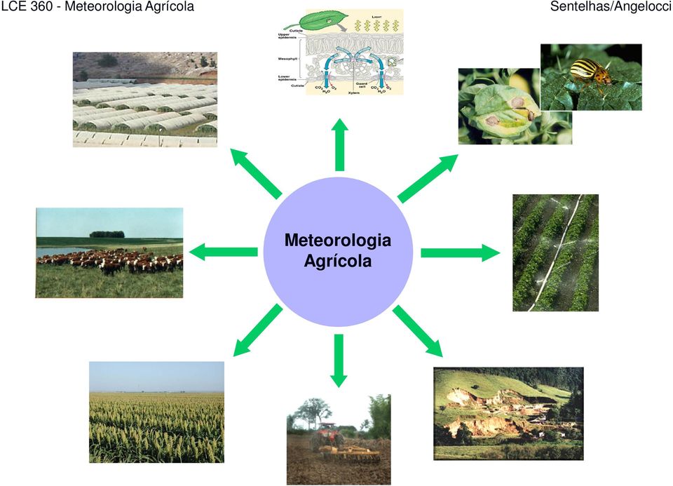 Agrícola Produção Animal Irrigação