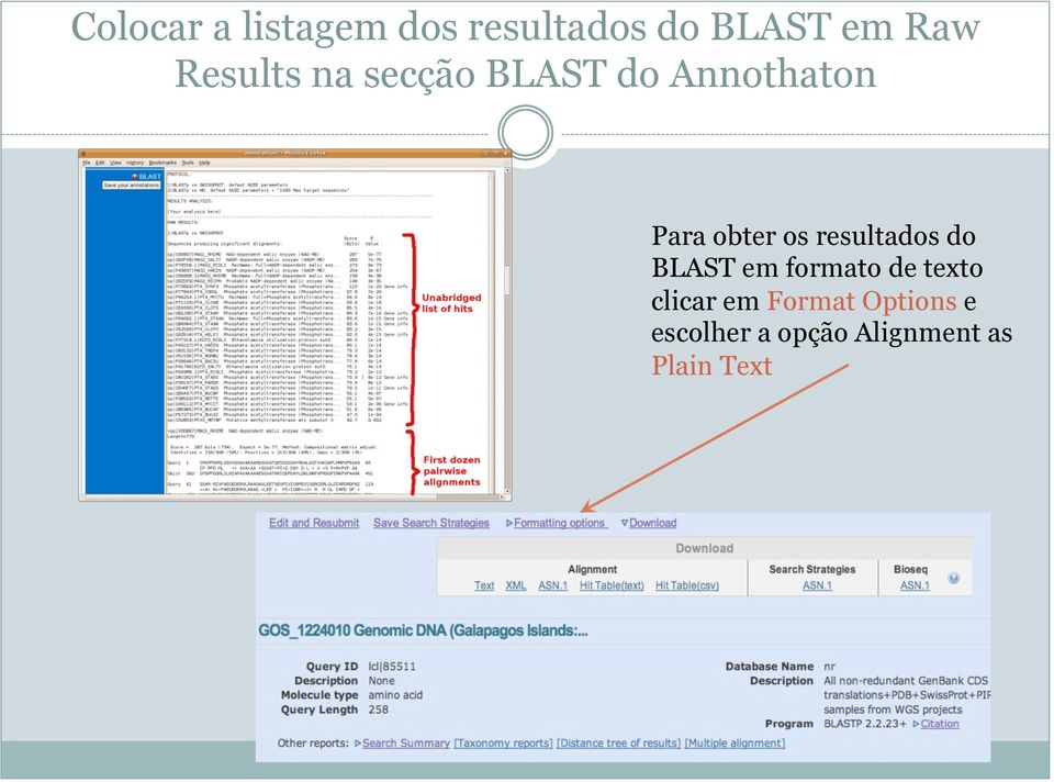 resultados do BLAST em formato de texto clicar em
