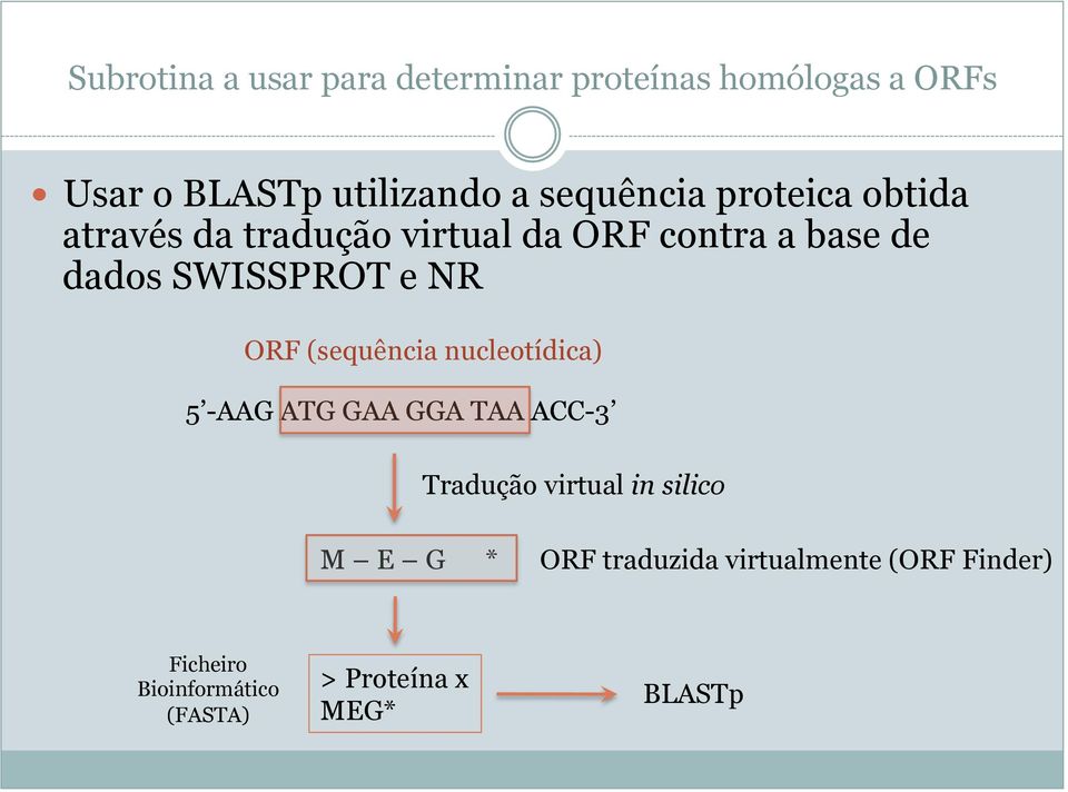 e NR ORF (sequência nucleotídica) 5 -AAG ATG GAA GGA TAA ACC-3 Tradução virtual in silico M E