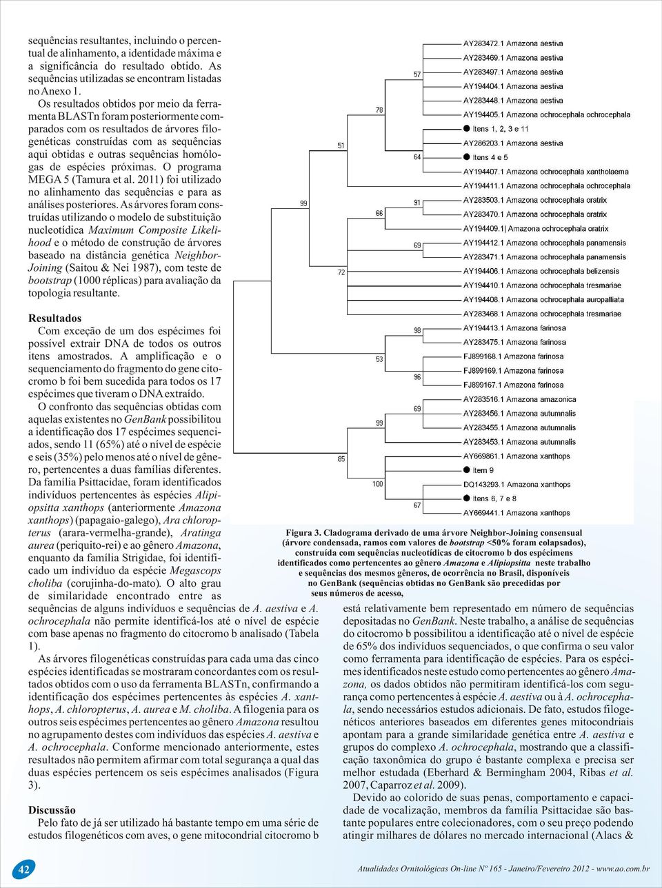 de espécies próximas. O programa MEGA 5 (Tamura et al. 2011) foi utilizado no alinhamento das sequências e para as análises posteriores.