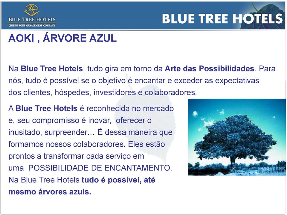 A Blue Tree Hotels é reconhecida no mercado e, seu compromisso é inovar, oferecer o inusitado, surpreender É dessa maneira que