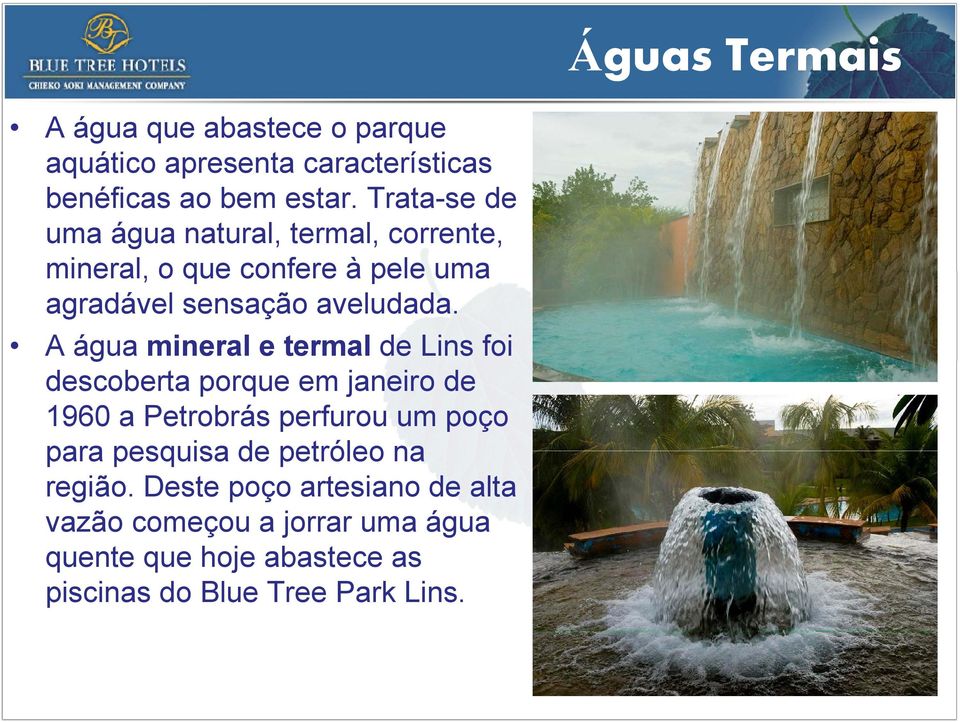 A água mineral e termal de Lins foi descoberta porque em janeiro de 1960 a Petrobrás perfurou um poço para pesquisa de