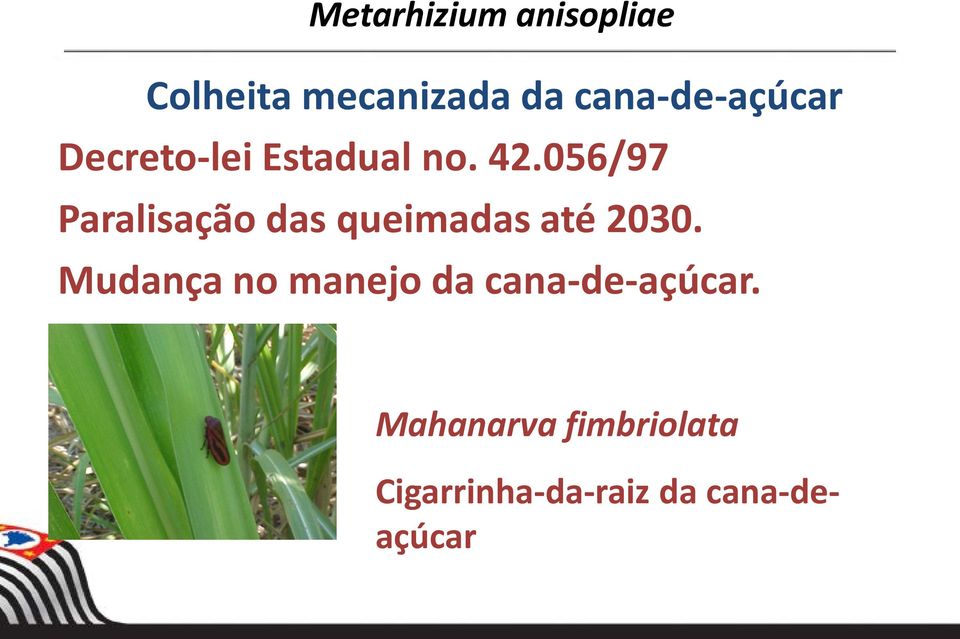 056/97 Paralisação das queimadas até 2030.