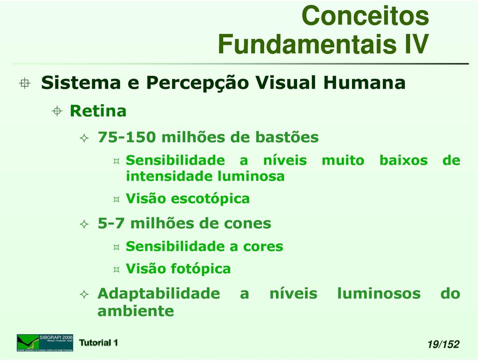 intensidade luminosa Visão escotópica 5-7 milhões de cones