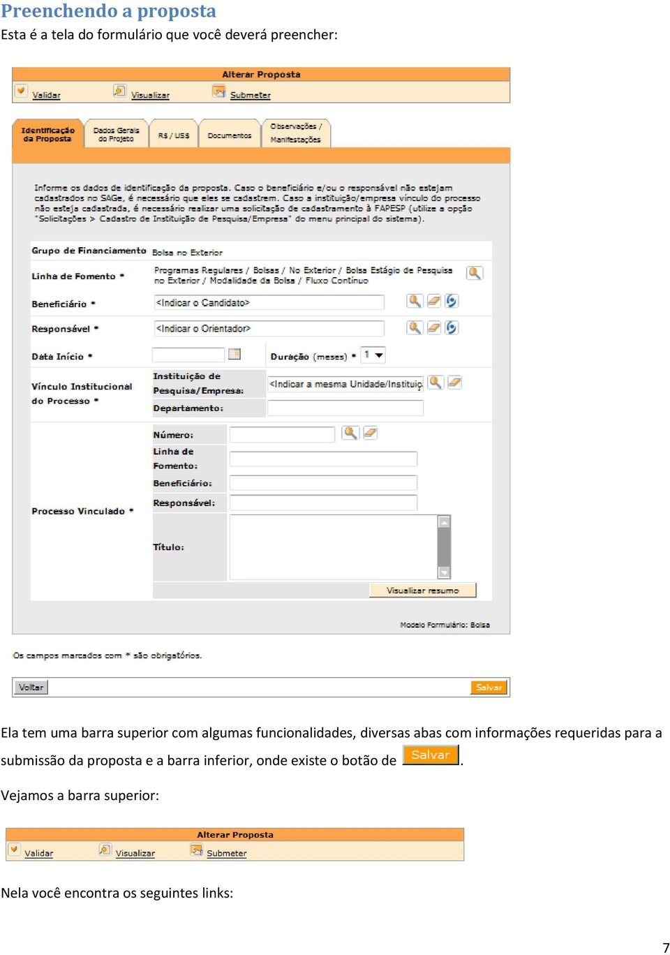 informações requeridas para a submissão da proposta e a barra inferior, onde