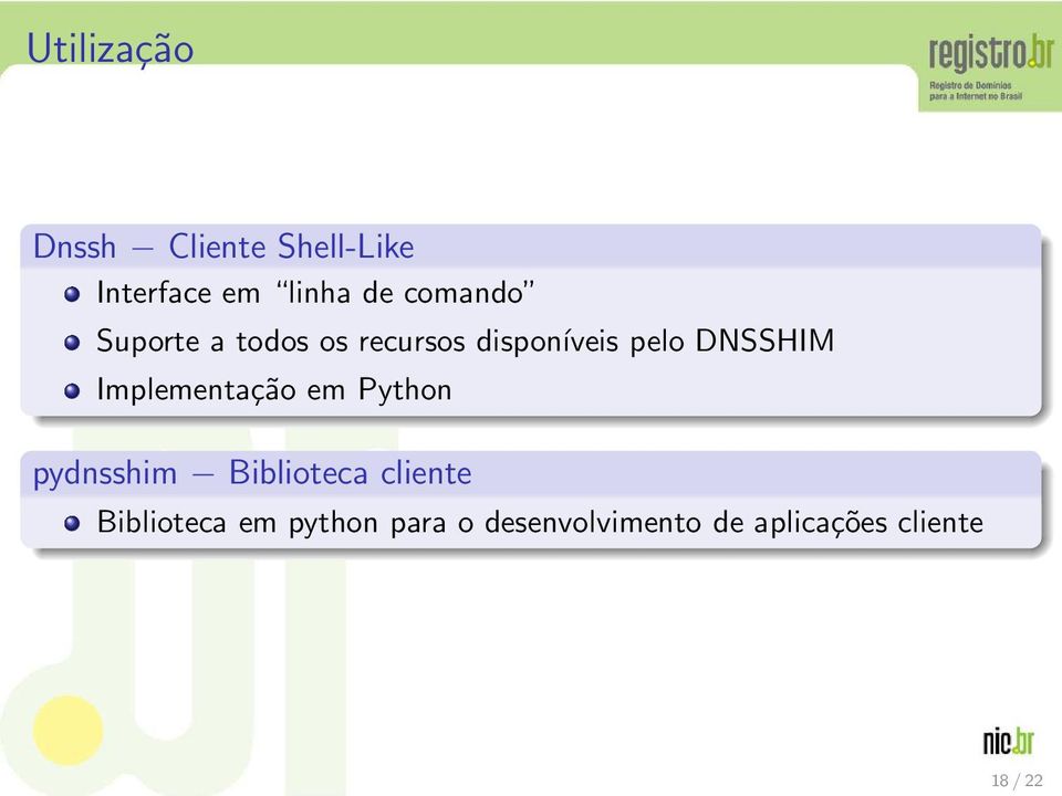 Implementação em Python pydnsshim Biblioteca cliente