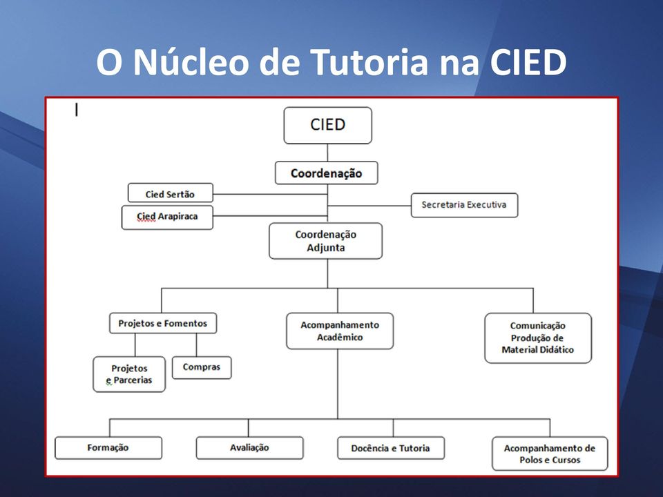 CIED Sistema