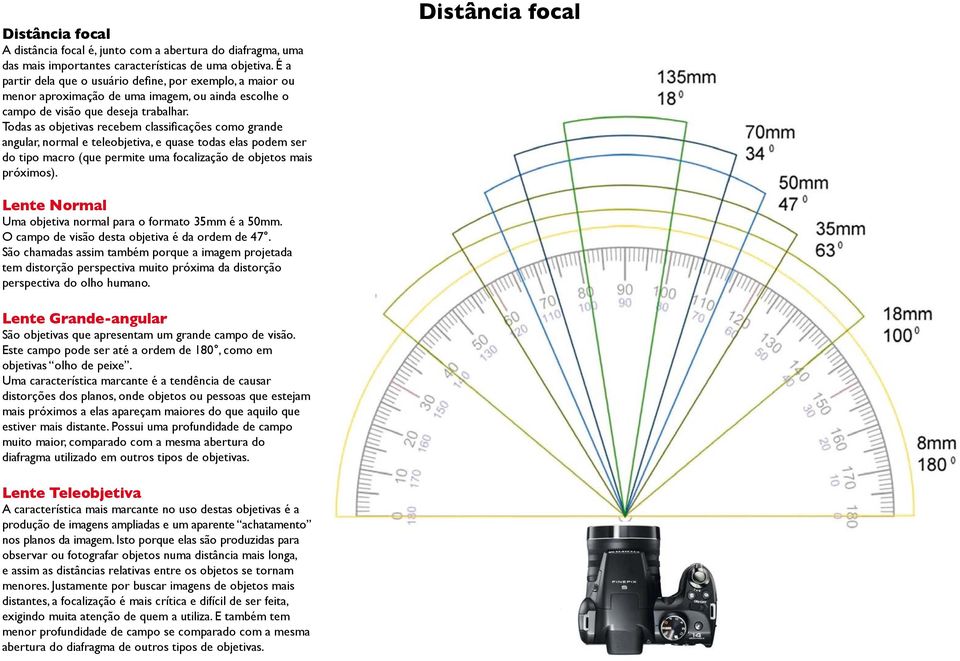 Todas as objetivas recebem classificações como grande angular, normal e teleobjetiva, e quase todas elas podem ser do tipo macro (que permite uma focalização de objetos mais próximos).