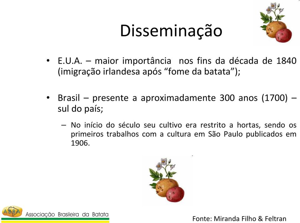 batata ); Brasil presente a aproximadamente 300 anos (1700) sul do país; No início