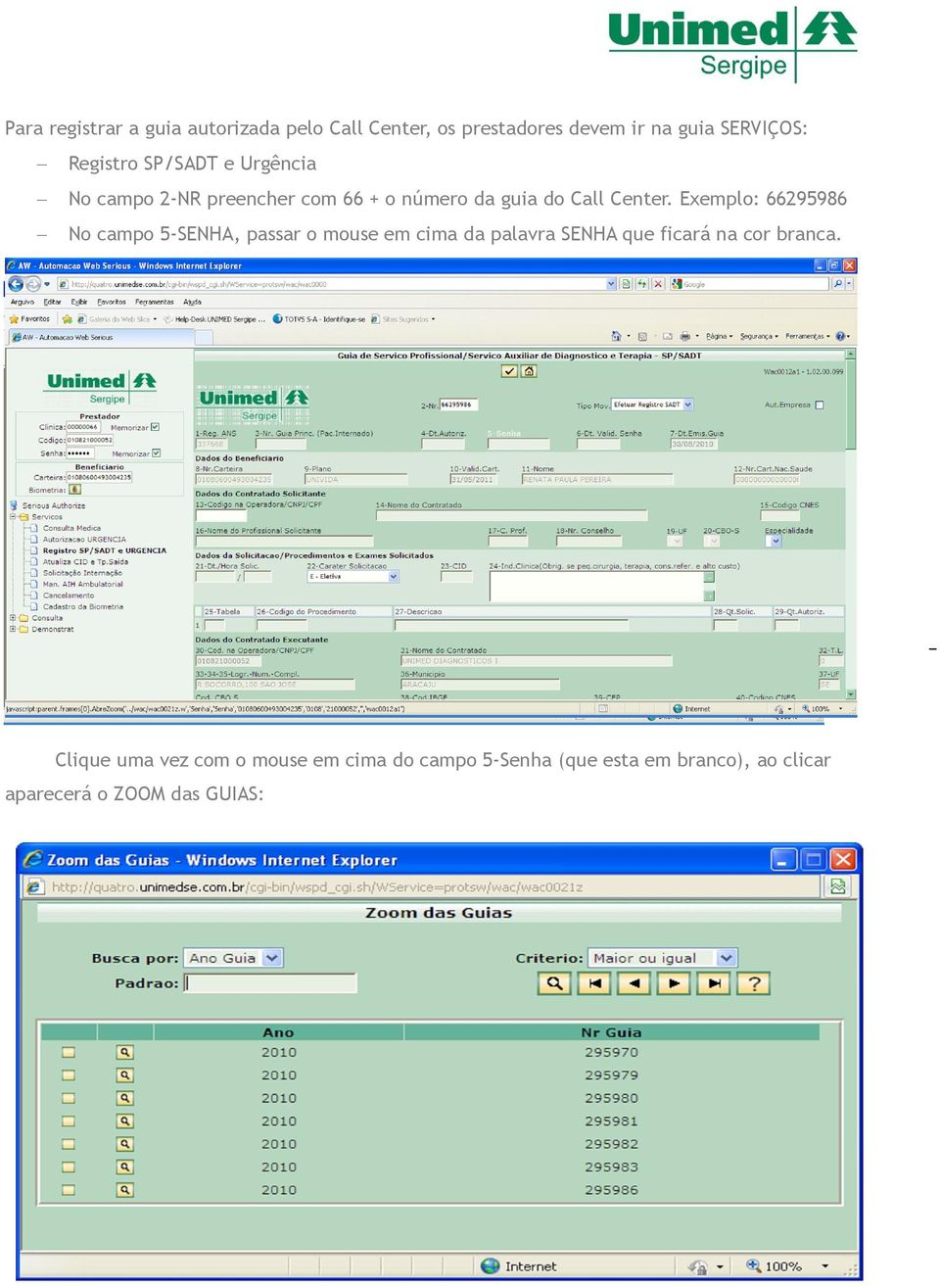 Exemplo: 66295986 No campo 5-SENHA, passar o mouse em cima da palavra SENHA que ficará na cor