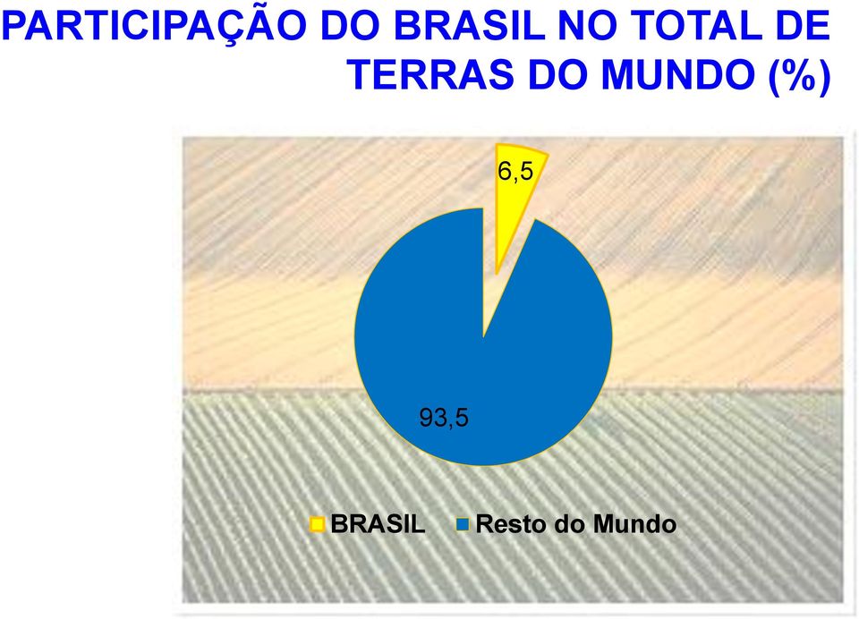 TERRAS DO MUNDO (%)