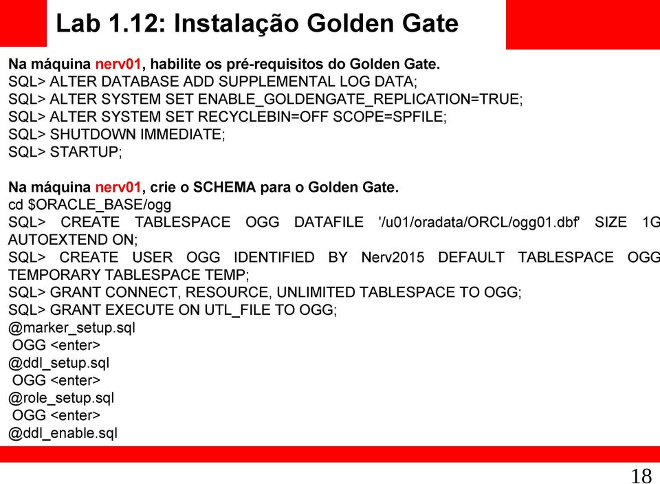 STARTUP; Na máquina nerv01, crie o SCHEMA para o Golden Gate. cd $ORACLE_BASE/ogg SQL> CREATE TABLESPACE OGG DATAFILE '/u01/oradata/orcl/ogg01.