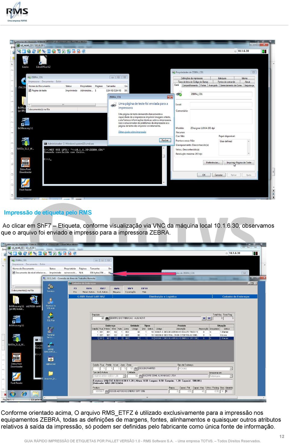 Conforme orientado acima, O arquivo RMS_ETFZ é utilizado exclusivamente para a impressão nos equipamentos ZEBRA, todas as