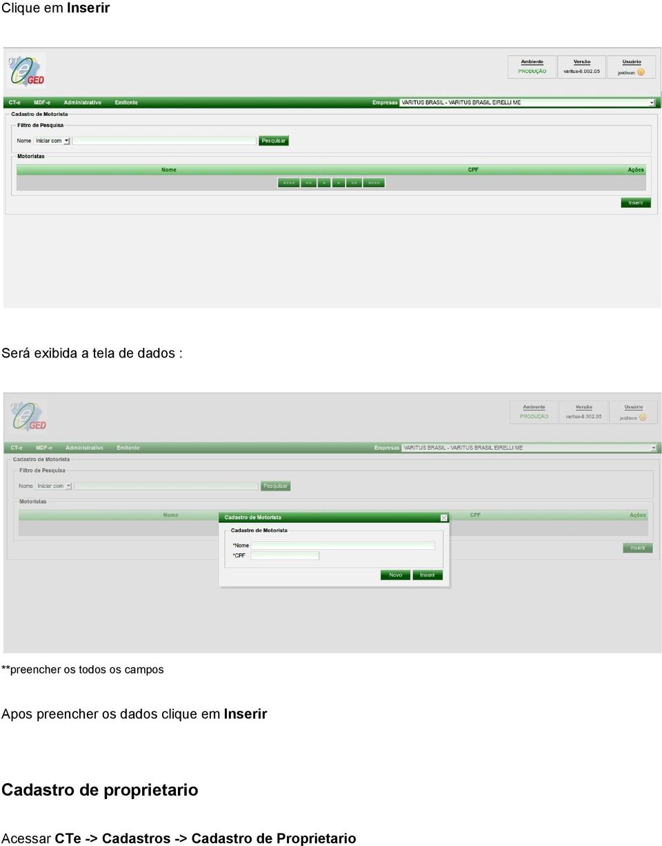 dados clique em Inserir Cadastro de proprietario