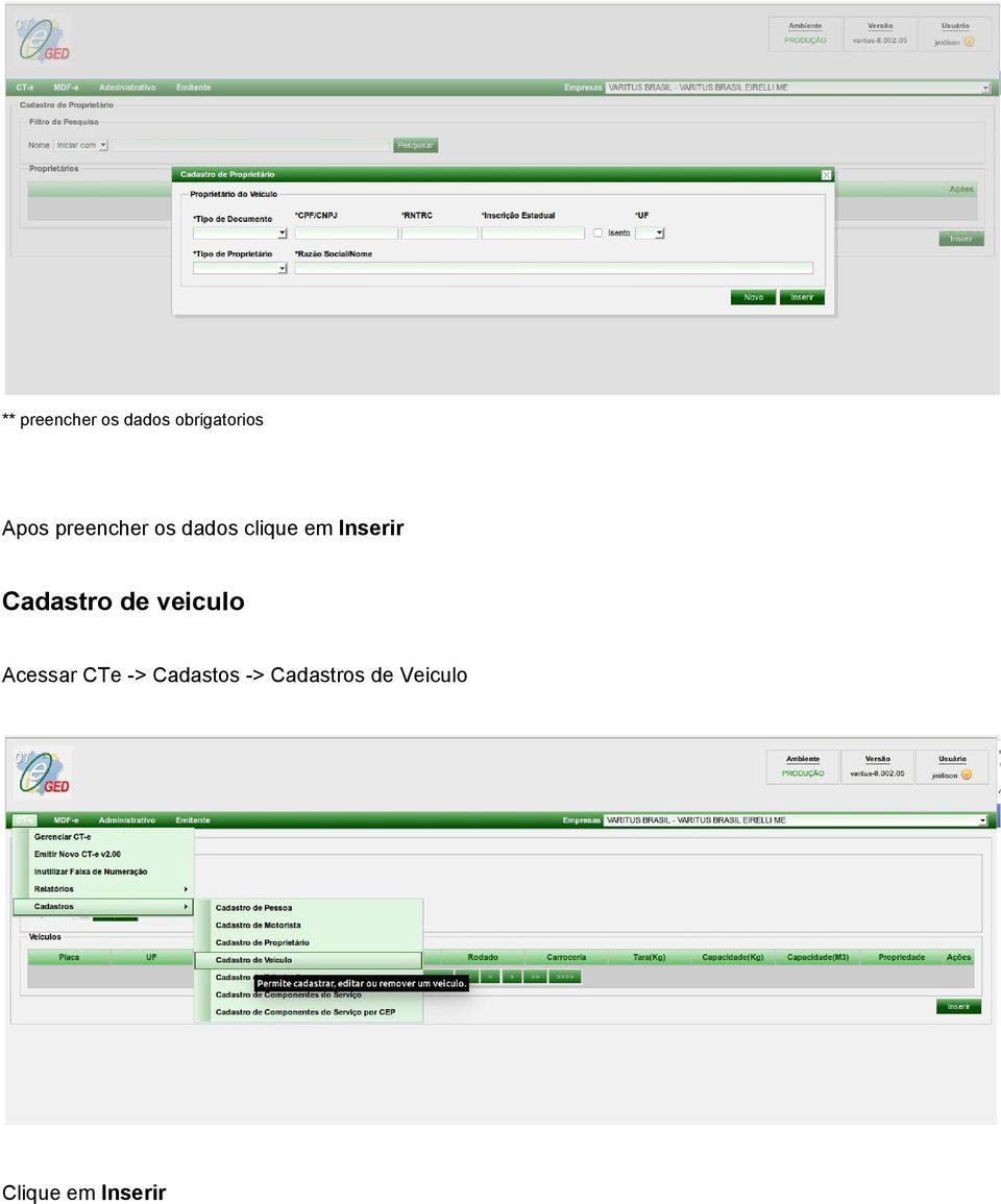 Cadastro de veiculo Acessar CTe >