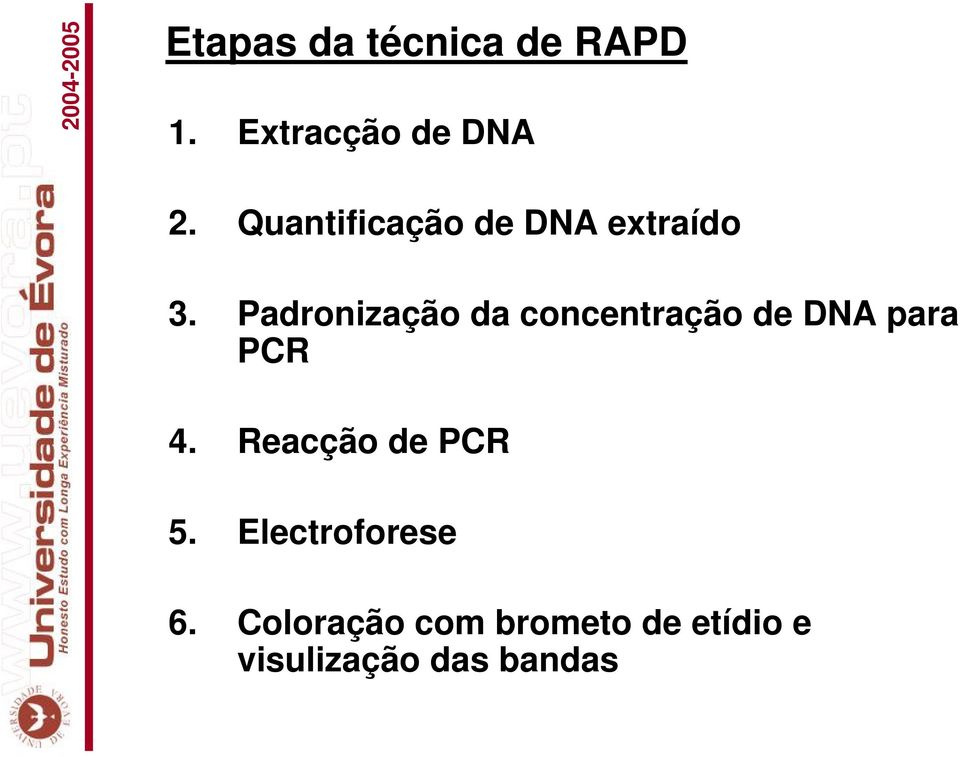 Padronização da concentração de DNA para PCR 4.