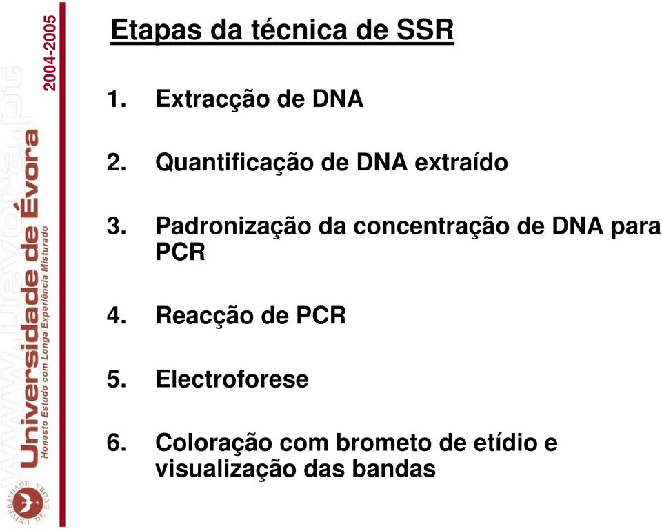 Padronização da concentração de DNA para PCR 4.