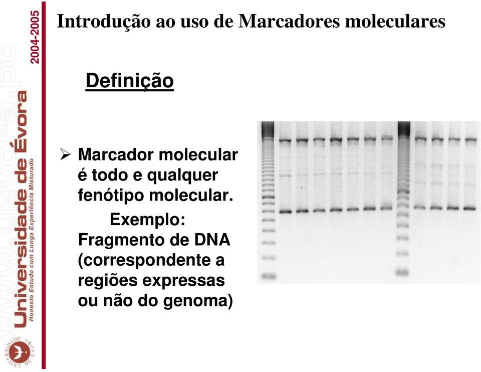 fenótipo molecular.