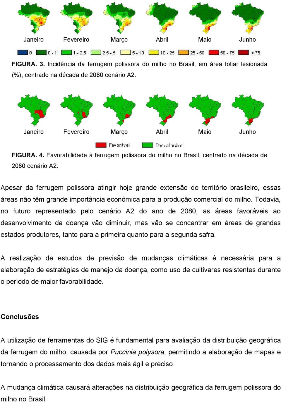 Apesar da ferrugem polissora atingir hoje grande extensão do território brasileiro, essas áreas não têm grande importância econômica para a produção comercial do milho.