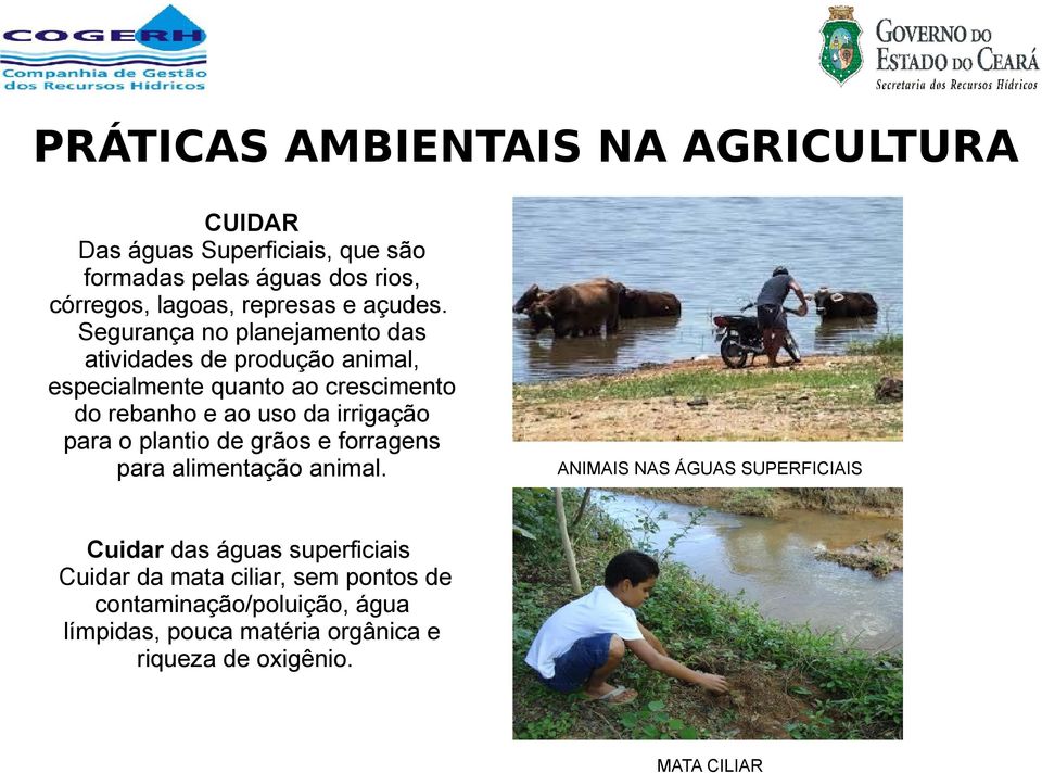 Segurança no planejamento das atividades de produção animal, especialmente quanto ao crescimento do rebanho e ao uso da irrigação