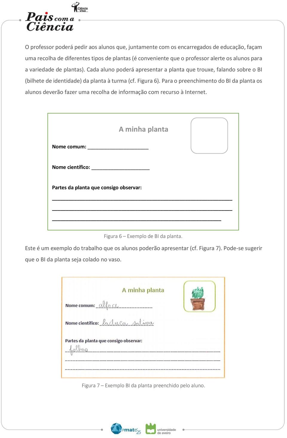 Para o preenchimento do BI da planta os alunos deverão fazer uma recolha de informação com recurso à Internet.