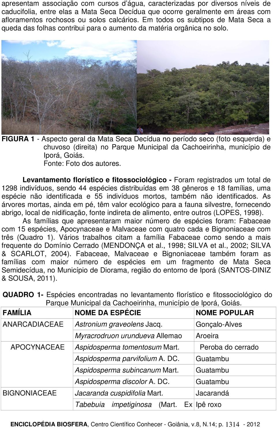 FIGURA 1 - Aspecto geral da Mata Seca Decídua no período seco (foto esquerda) e chuvoso (direita) no Parque Municipal da Cachoeirinha, município de Iporá, Goiás. Fonte: Foto dos autores.