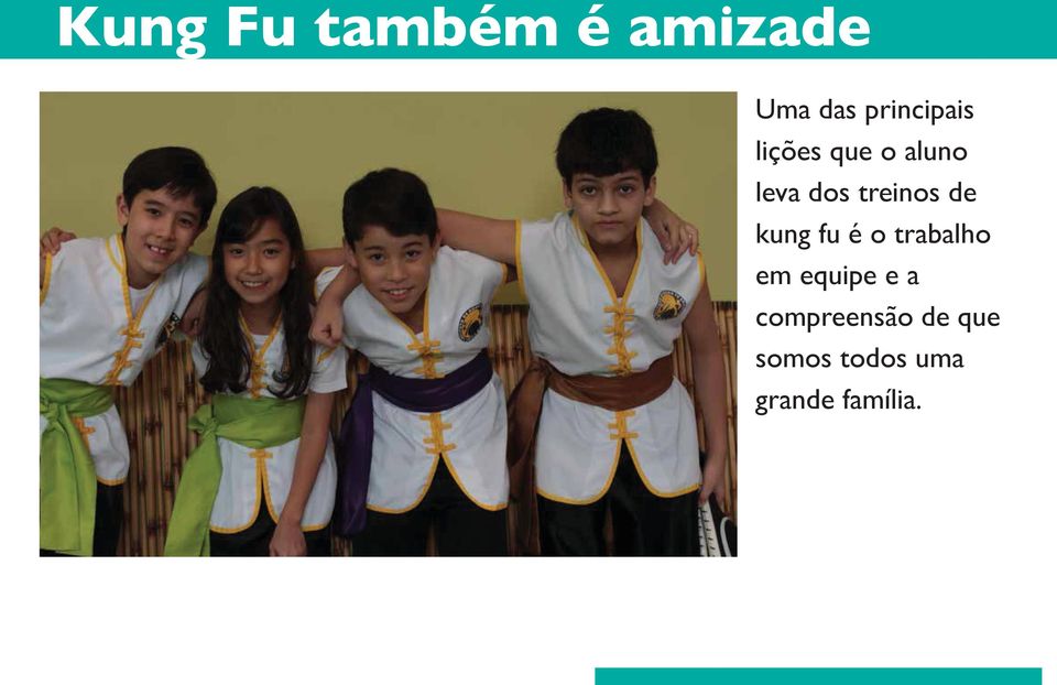 treinos de kung fu é o trabalho em equipe