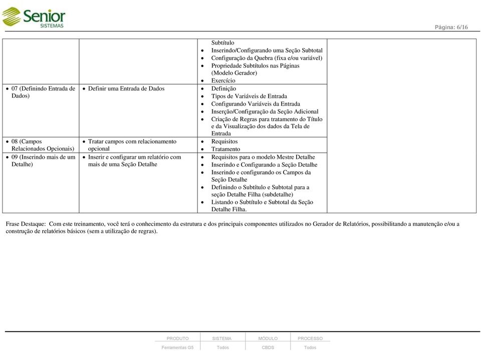 Adicional Criação de Regras para tratamento do Título e da Visualização dos dados da Tela de Entrada Tratar campos com relacionamento Requisitos opcional Tratamento Inserir e configurar um relatório