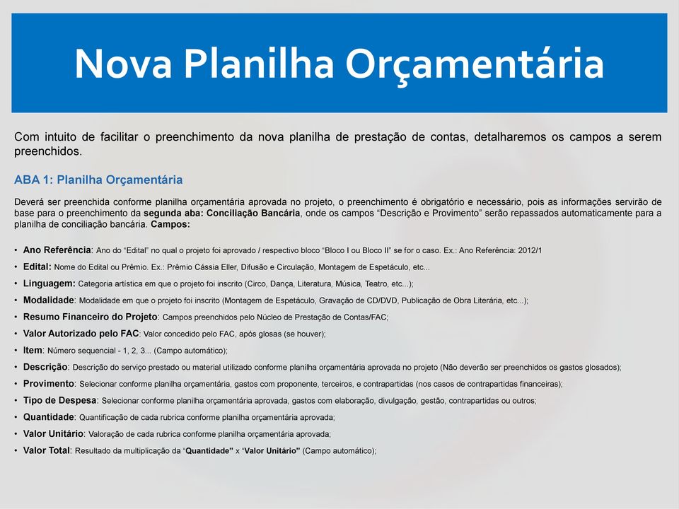 preenchimento da segunda aba: Conciliação Bancária, onde os campos Descrição e Provimento serão repassados automaticamente para a planilha de conciliação bancária.