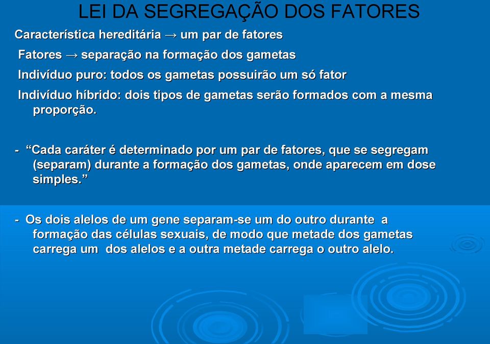 - Cada caráter é determinado por um par de fatores, que se segregam (separam) durante a formação dos gametas, onde aparecem em dose simples.