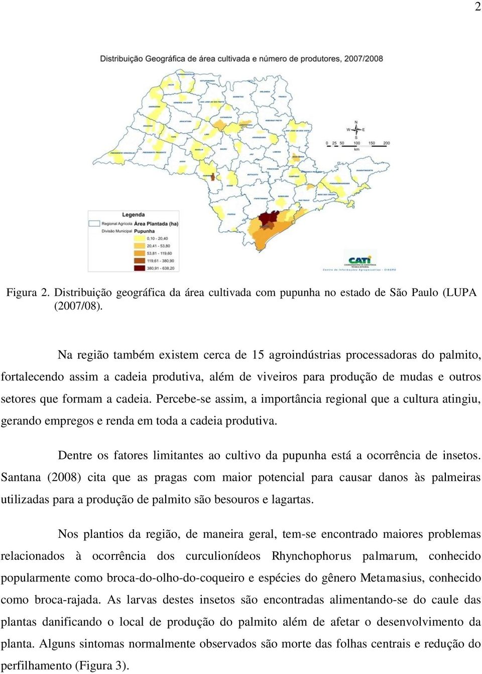 Percebe-se assim, a importância regional que a cultura atingiu, gerando empregos e renda em toda a cadeia produtiva. Dentre os fatores limitantes ao cultivo da pupunha está a ocorrência de insetos.