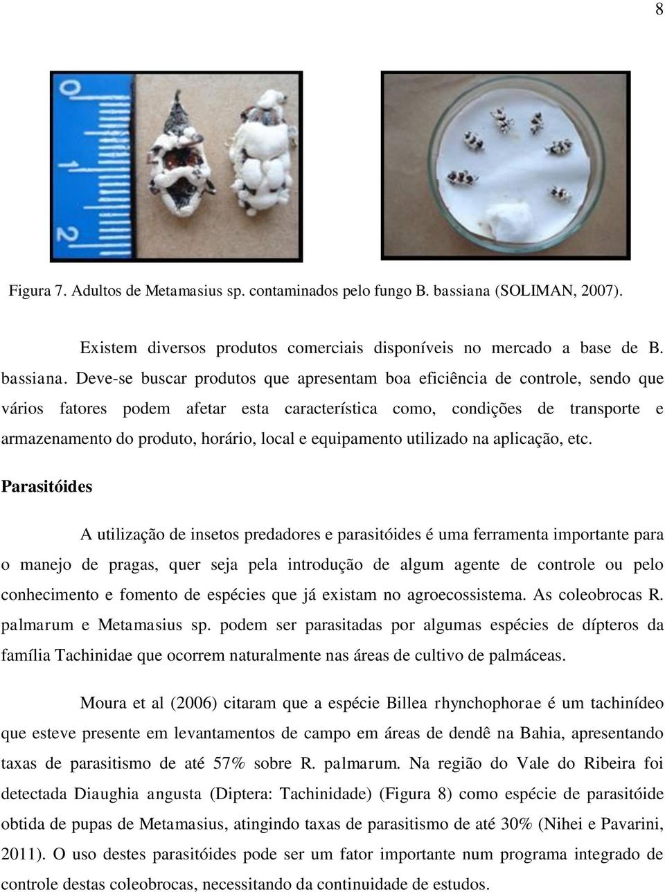 Deve-se buscar produtos que apresentam boa eficiência de controle, sendo que vários fatores podem afetar esta característica como, condições de transporte e armazenamento do produto, horário, local e