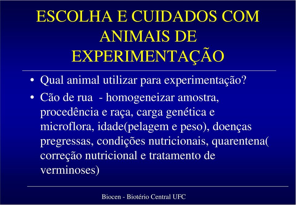 Cão de rua - homogeneizar amostra, procedência e raça, carga genética e