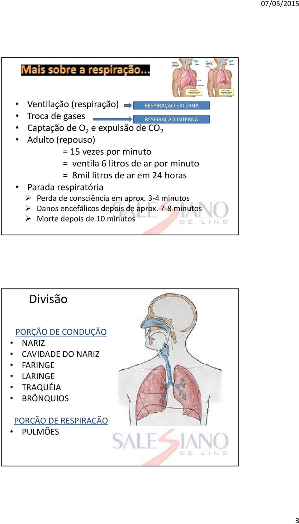 respiratória Perda de consciência em aprox. 3-4 minutos Danos encefálicos depois de aprox.