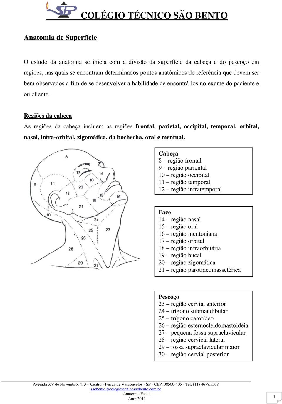 Regiões da cabeça As regiões da cabeça incluem as regiões frontal, parietal, occipital, temporal, orbital, nasal, infra-orbital, zigomática, da bochecha, oral e mentual.