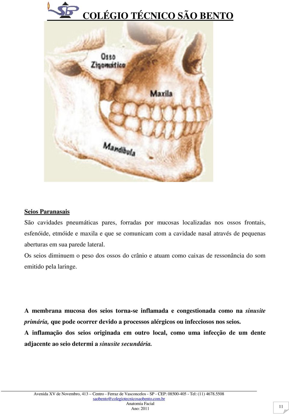 Os seios diminuem o peso dos ossos do crânio e atuam como caixas de ressonância do som emitido pela laringe.