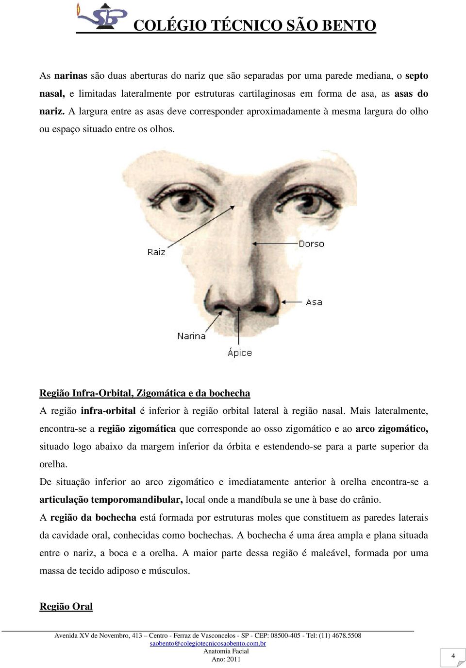 Região Infra-Orbital, Zigomática e da bochecha A região infra-orbital é inferior à região orbital lateral à região nasal.