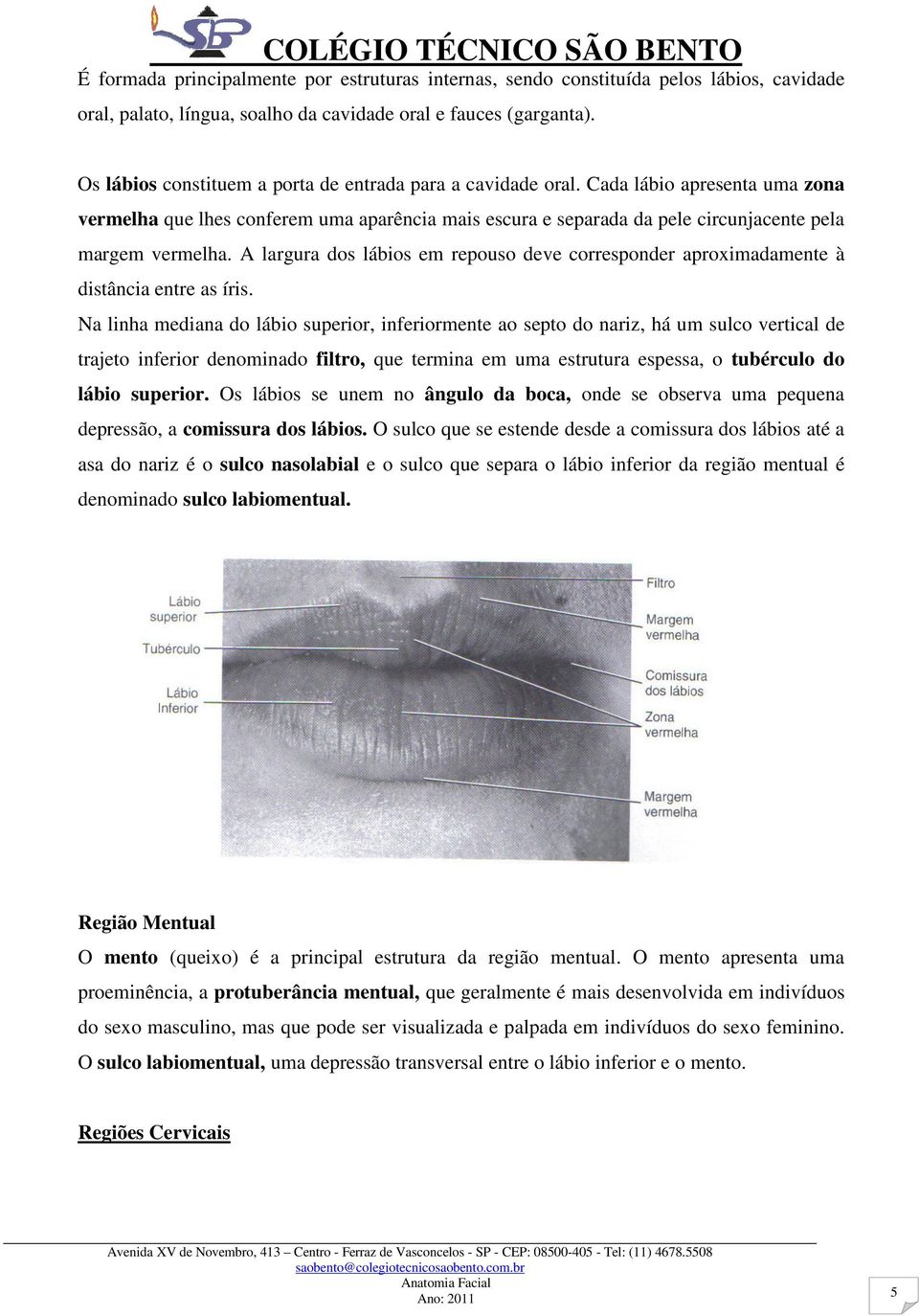 A largura dos lábios em repouso deve corresponder aproximadamente à distância entre as íris.