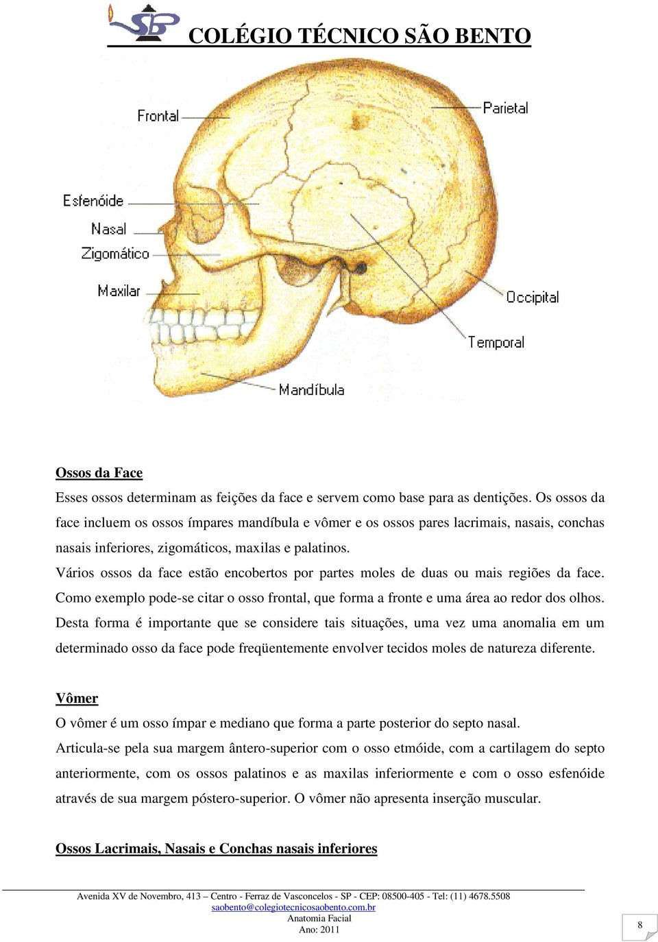 Vários ossos da face estão encobertos por partes moles de duas ou mais regiões da face. Como exemplo pode-se citar o osso frontal, que forma a fronte e uma área ao redor dos olhos.