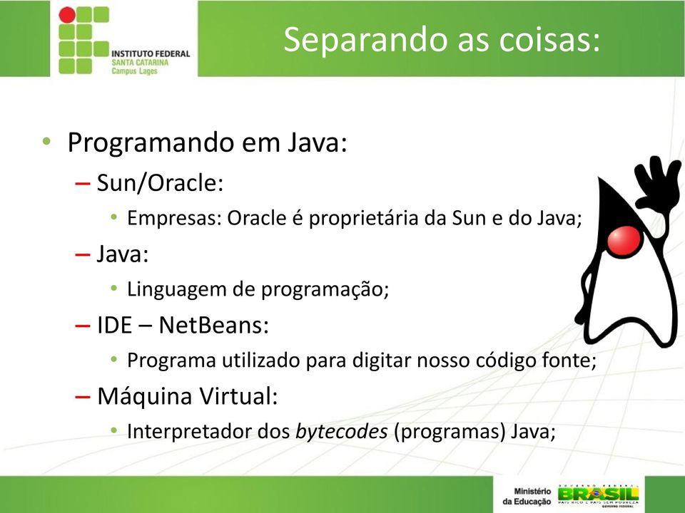 programação; IDE NetBeans: Programa utilizado para digitar nosso