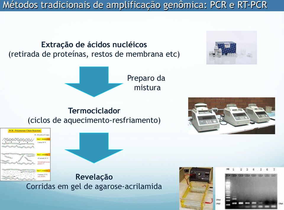 membrana etc) Preparo da mistura Termociclador (ciclos de