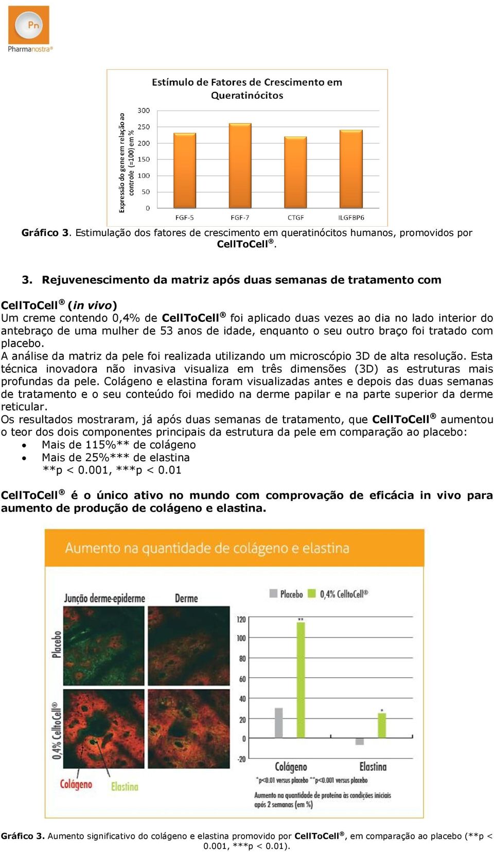 Rejuvenescimento da matriz após duas semanas de tratamento com CellToCell (in vivo) Um creme contendo 0,4% de CellToCell foi aplicado duas vezes ao dia no lado interior do antebraço de uma mulher de