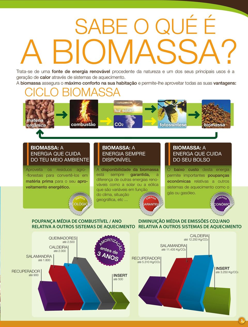 ENERGiA QUE CUIDA DO TEU MEIO AMBIENTE Aproveita os residuos agro- -florestais para convertê-los em matéria prima para o seu aproveitamento energético.