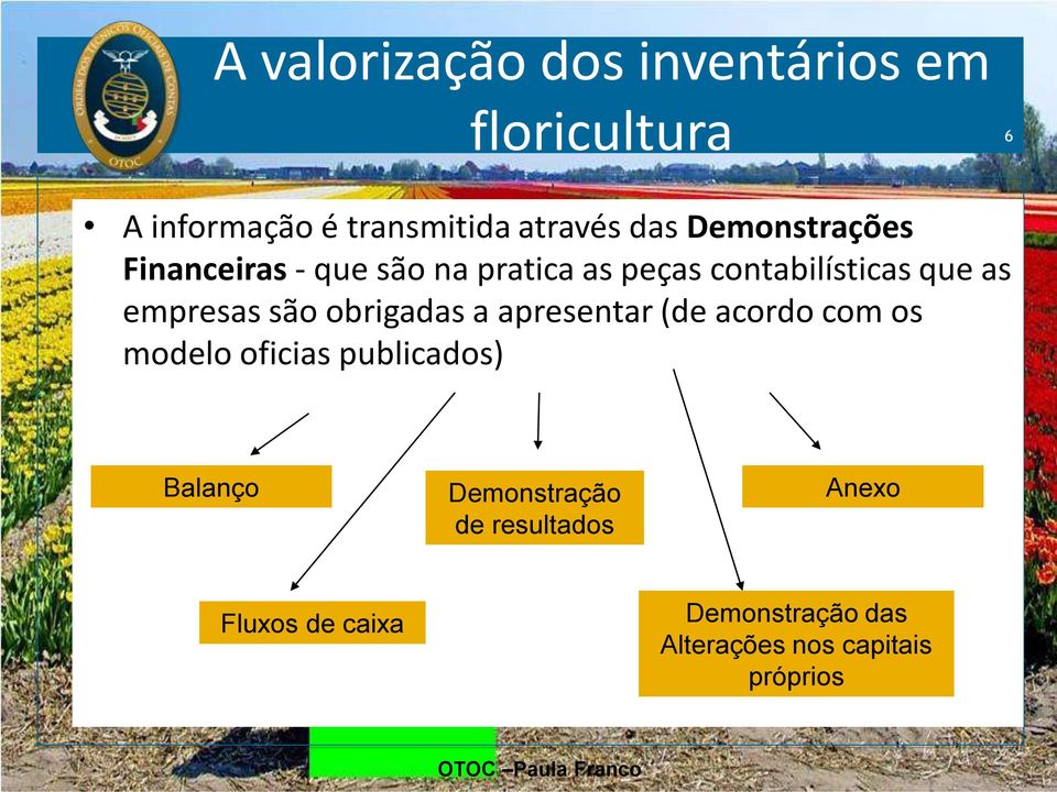 acordo com os modelo oficias publicados) Balanço Demonstração de resultados Anexo